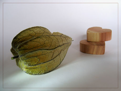 BLOG-IMG_1251-amour en cage et coeurs bois