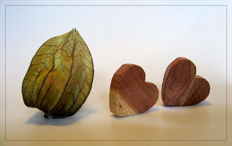 BLOG-IMG_1254-amour en cage et coeurs bois