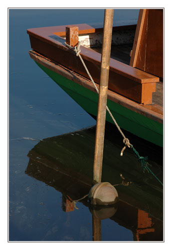 BLOG-DSC_7847-coque verte et acajou