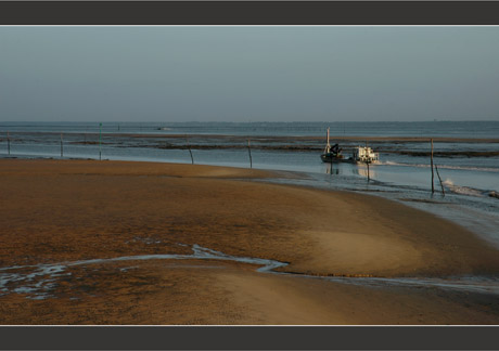 BLOG-DSC_7869-plate chenal Larros