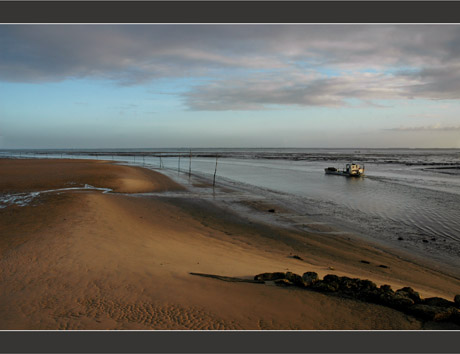 BLOG-DSC_7870-plate chenal Larros