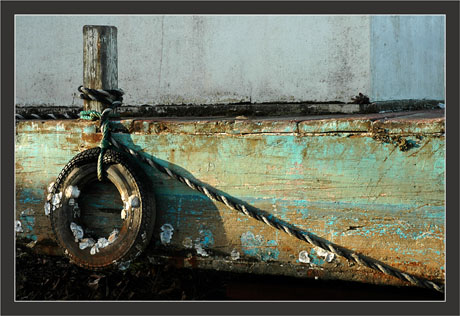 BLOG-DSC_7955-pneu plate verte laTeste