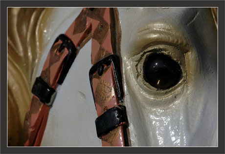 BLOG-DSC_7995-oeil cheval manège