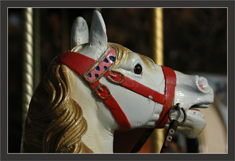 BLOG-DSC_7996-cheval manège