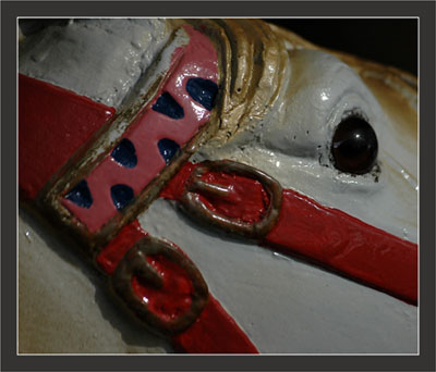 BLOG-DSC_7997-oeil cheval manège BLOG-DSC_7997-oeil cheval manège