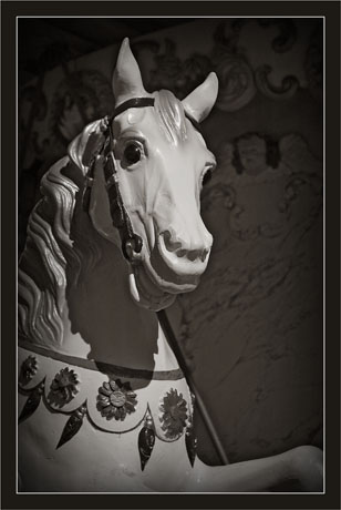 BLOG-DSC_8057-cheval manège Eyrac sépia V