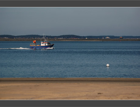 BLOG-DSC_8070-bateau de pêche,Tchanquées et île aux oiseauix