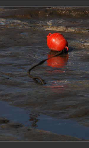 BLOG-DSC_8150-vase et bouée rouge BLOG-DSC_8150-vase et bouée rouge