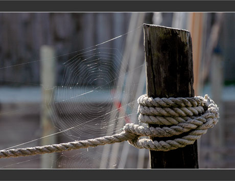 BLOG-DSC_8156-piquet corde et toile