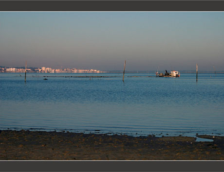 BLOG-DSC_8386-parcs face port Gujan et Arcachon