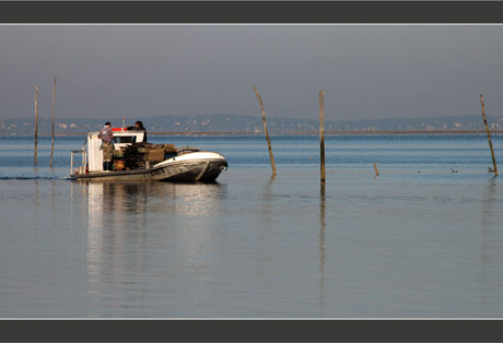 BLOG-DSC_8395-retour des parcs