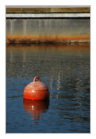 BLOG-DSC_8469-bouée rouge et ponton Cazaux