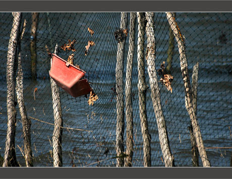 BLOG-DSC_8486-dans les mailles du filet