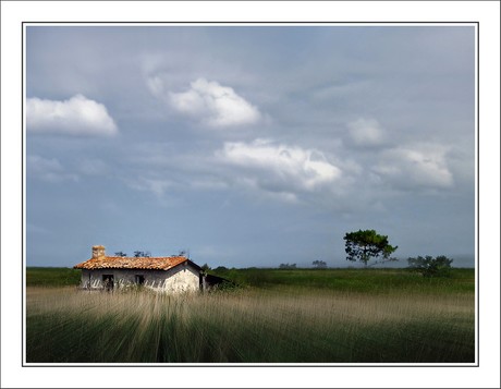 CP-Img_0533-3-sentier de la Leyre 2 [800x600]