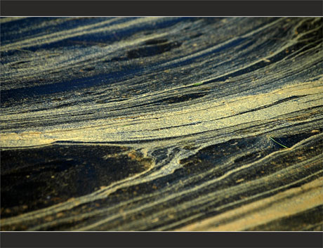 BLOG-DSC_8937-pollen sur canal des plaines