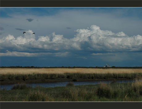 BLOG-DSC_9069-Leyre, 2 corrmorans et Smurfit