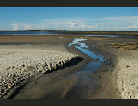 BLOG-DSC_9075-estey, plage, embouchure Leyre et Bassin