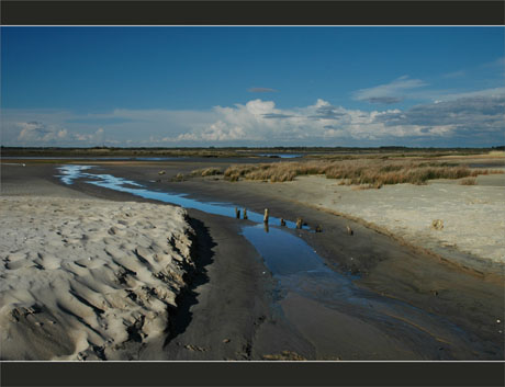 BLOG-DSC_9077-estey, plage, embouchure Leyre BLOG-DSC_9077-estey, plage, embouchure Leyre