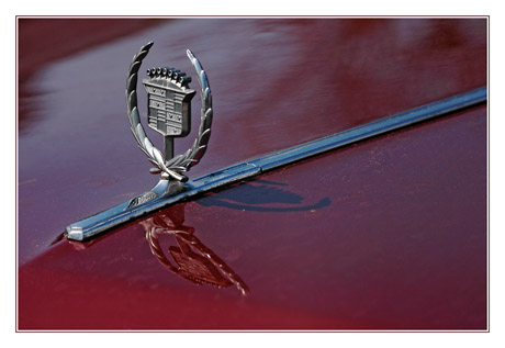 BLOG-DSC_9156-sigle capot Cadillac