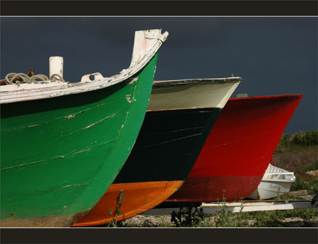 BLOG-DSC_9260-alignement proues Meyran