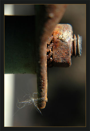 BLOG-DSC_9443-boulon roue brouette