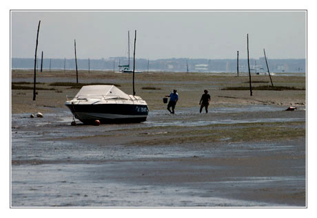 BLOG-DSC_9559-pêche Arès marée basse