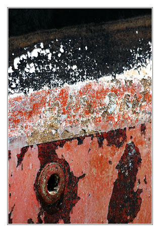 BLOG-DSC_9577-coque Majeny