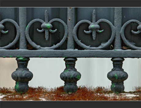 BLOG-DSC_9634-grille et mur mousse