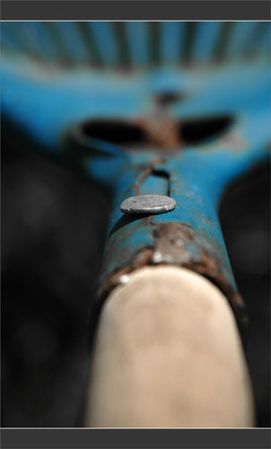 BLOG-DSC_9664-rateau bleu