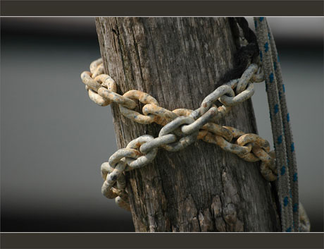 BLOG-DSC_9682-piquet bois, chaîne et corde