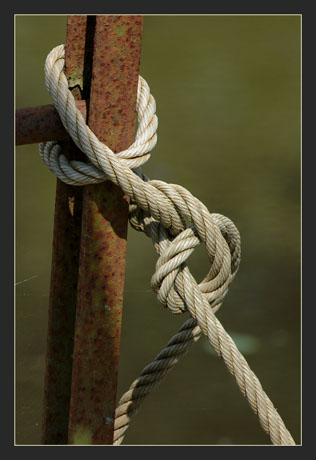 BLOG-DSC_0049-échelle et corde