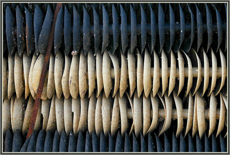 BLOG-DSC_5588-collecteursà lamelles souples de profil