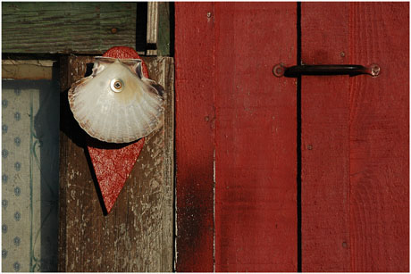 BLOG-DSC_5940-cabane rouge St Jacques port Gujan