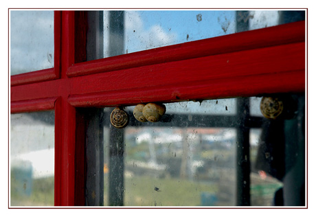 BLOG-DSC_7945-escargots & reflets fenêtre rouge