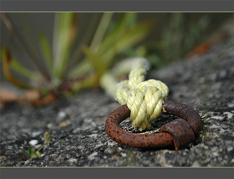 BLOG-DSC_9677-corde jaune et anneau