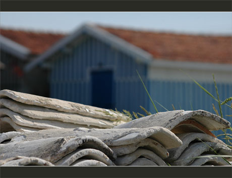 BLOG-DSC_9725-tuiles chaulées Audenge