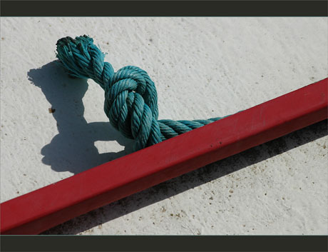 BLOG-DSC_9732-noeud sur le Tort