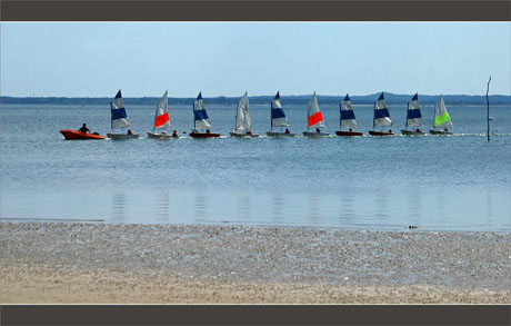 BLOG-DSC_9781-optimistes Taussats