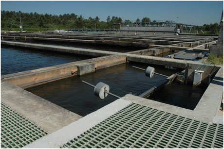 BLOG-DSC_9790-captage eau