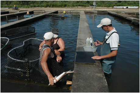 BLOG-DSC_9791-vaccination femelles