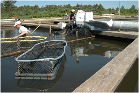 BLOG-DSC_9803-echographie 3 ans