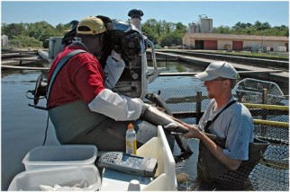 BLOG-DSC_9813-échographie 3 ans