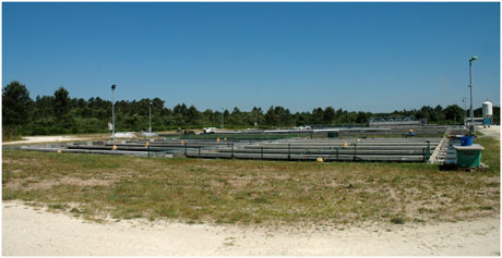 BLOG-DSC_9821-bassins esturgeonnière