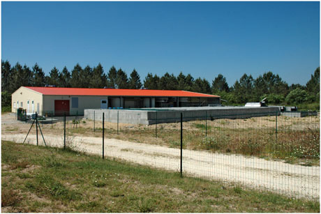 BLOG-DSC_9822-esturgeonnière