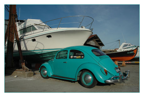 BLOG-DSC_9936-coccinelle bleue Larros