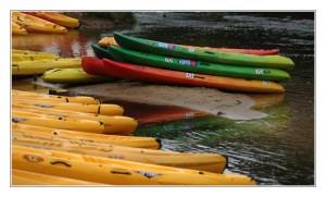 BLOG-DSC_0133 -canoe Leyre Mios