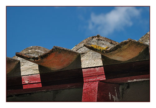 BLOG-DSC_0410-ombre tuiles Certes