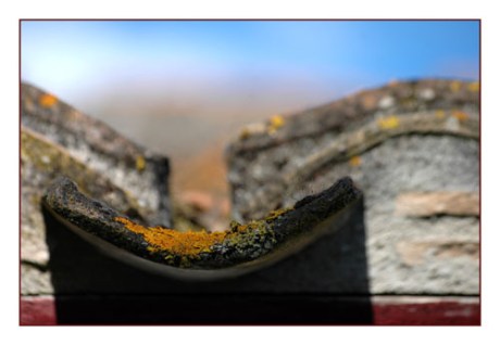 BLOG-DSC_0415-tuiles moussues toit Certes