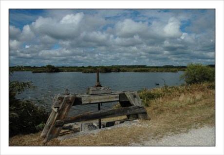 BLOG-DSC_0519-écluse du tourniquet, Certes