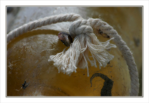 BLOG-DSC_0597-cordelette blanc des cabanes